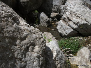 stoleone-17-08-2014 12-17-43
